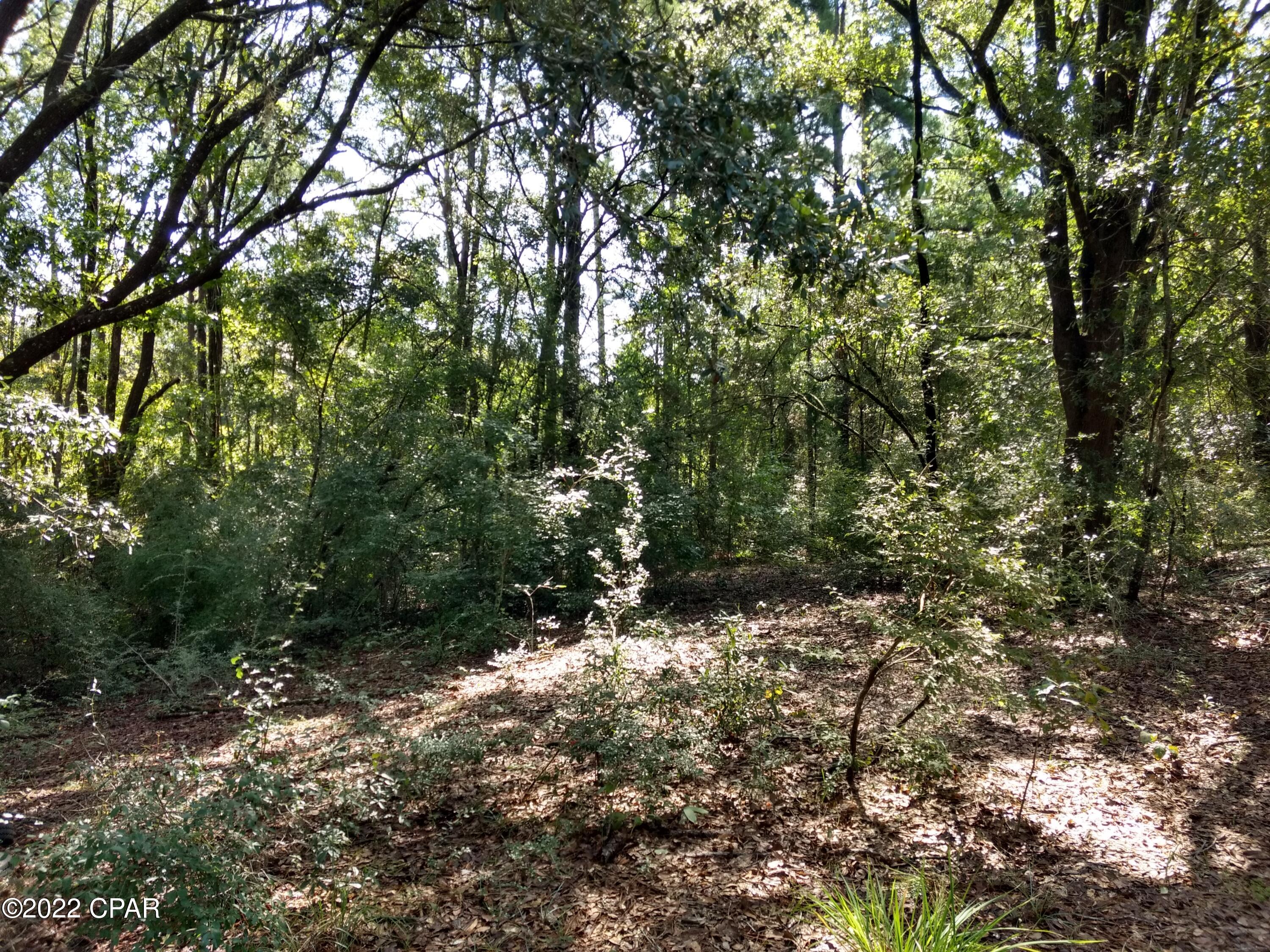 2855 Dauphin Road Bonifay, FL 32425 - Photo 4 of 9