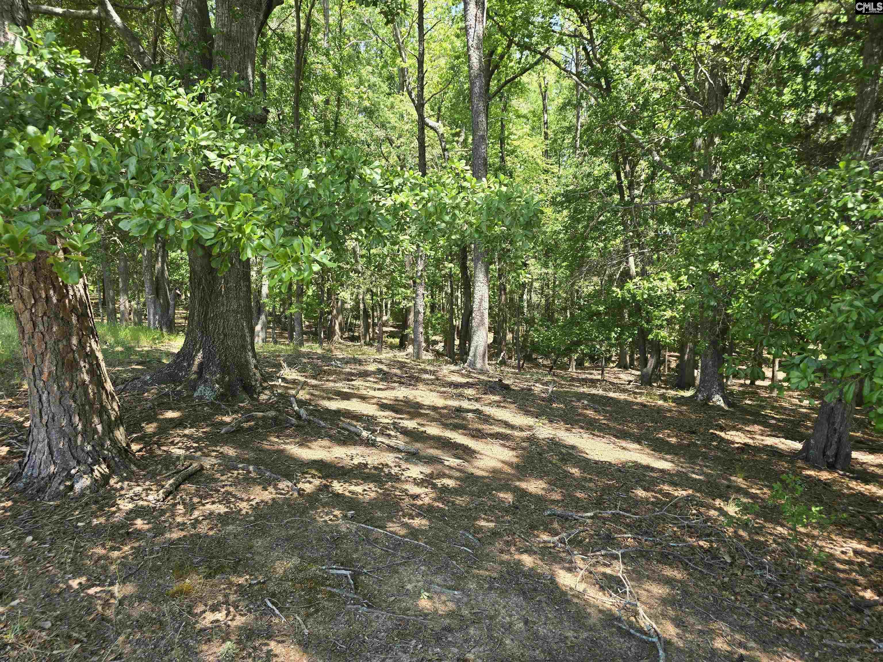542 Pea Ridge Highway Jonesville, SC 29353 - Photo 58 of 72