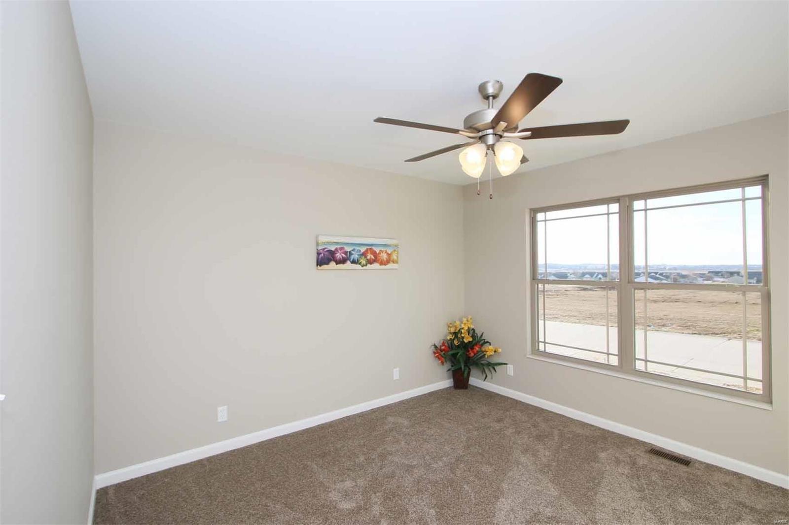 215 Carter Ridge Drive Highland, IL 62249 - Photo 24 of 43