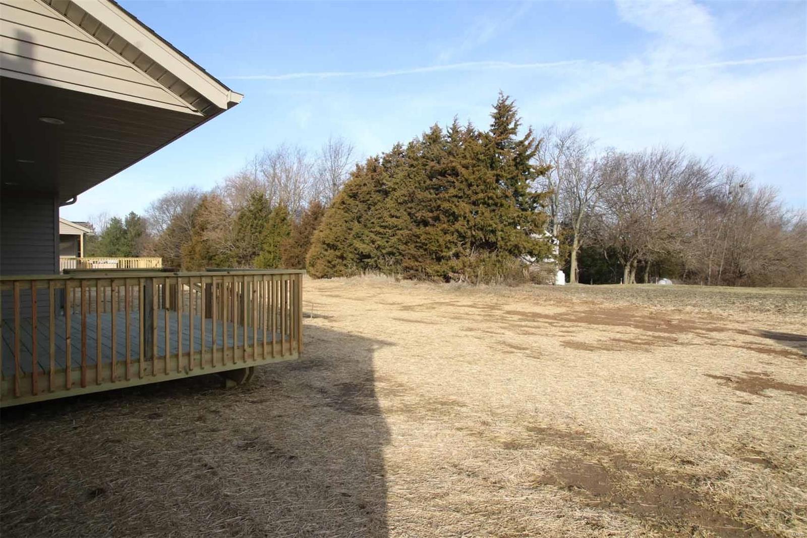 215 Carter Ridge Drive Highland, IL 62249 - Photo 30 of 43