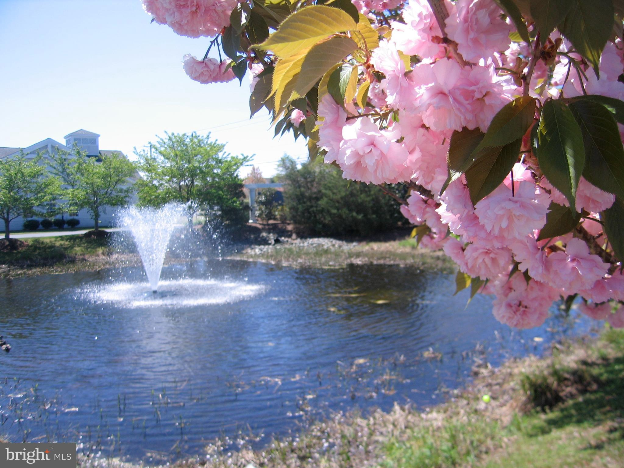 30611 Cedar Neck Road, Unit 2104 Ocean View, DE 19970 - Photo 39 of 57 Water fountains