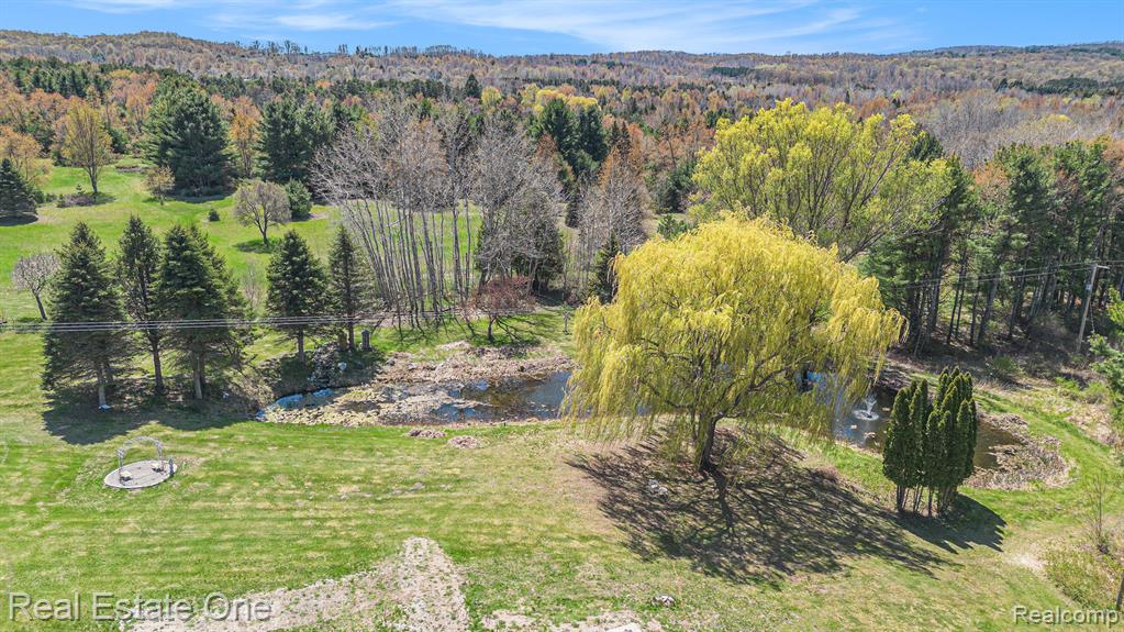 3121 Grace Road Frankfort, MI 49635 - Photo 79 of 95 Gallery Image 79