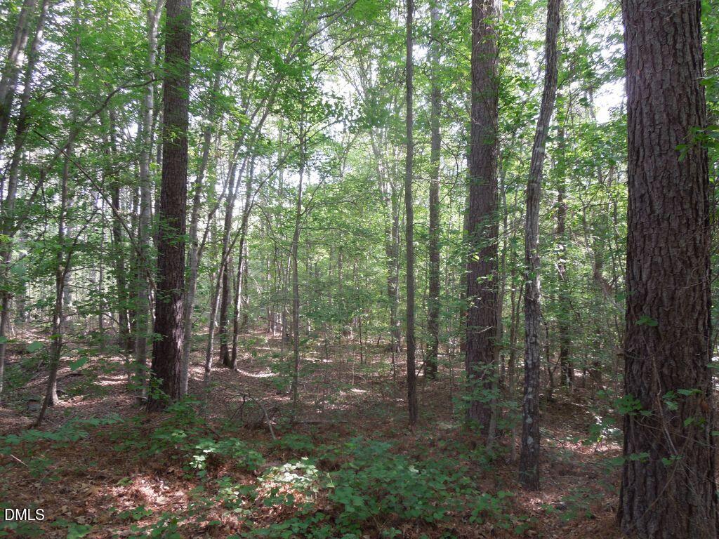 0 Glebe Road Henderson, NC 27537 - Photo 6 of 34 DSCN0476