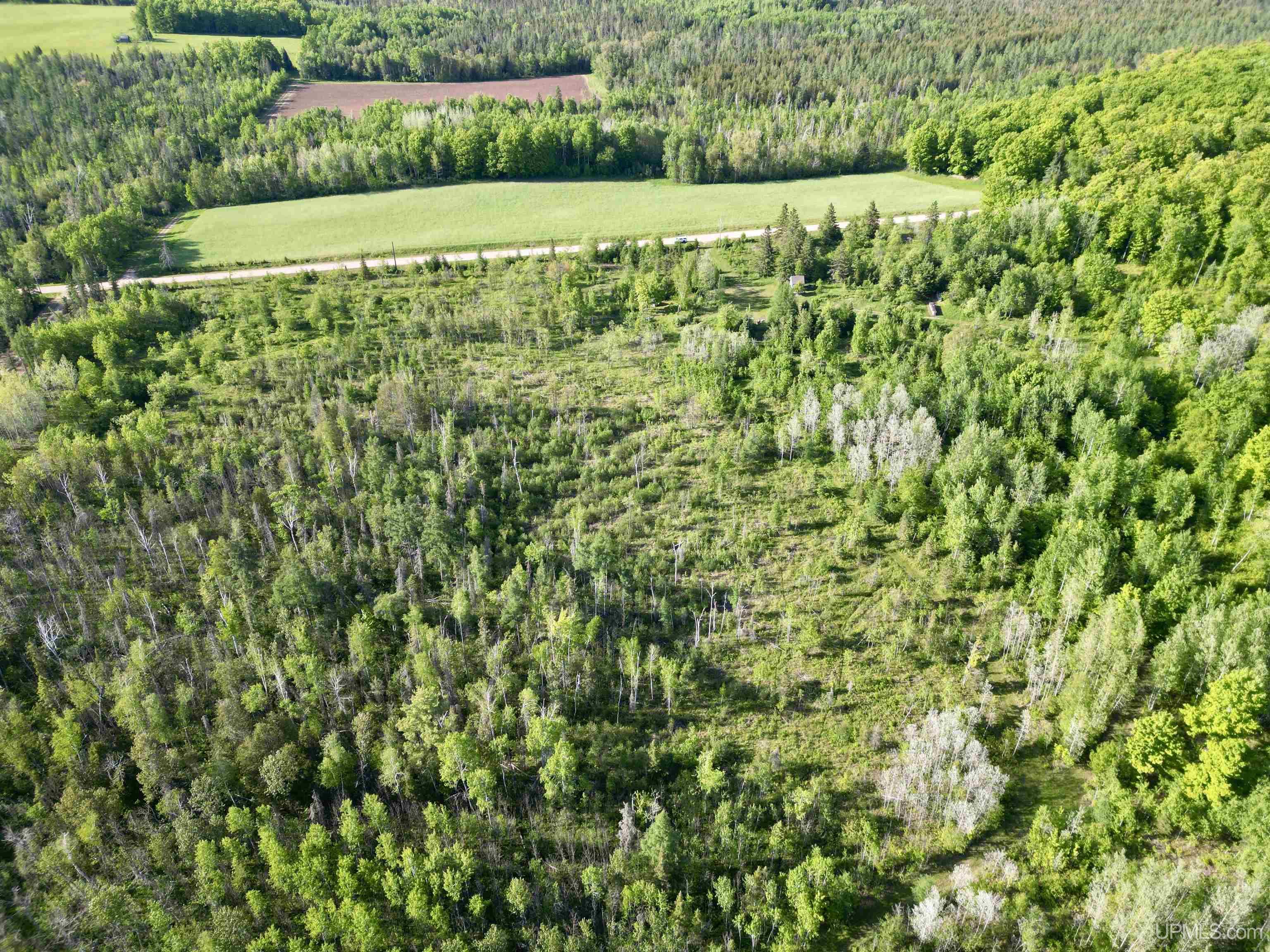 801 West Tichelaar Road Foster City, MI 49834 - Photo 31 of 43