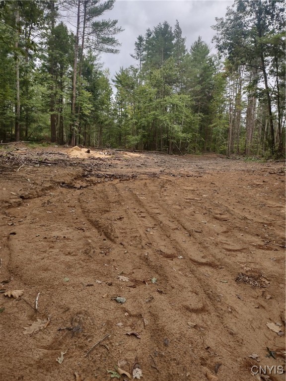 Oswego Road Rome, NY 13440 - Photo 3 of 8