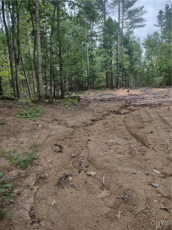 Oswego Road Rome, NY 13440 - Photo 4 of 8