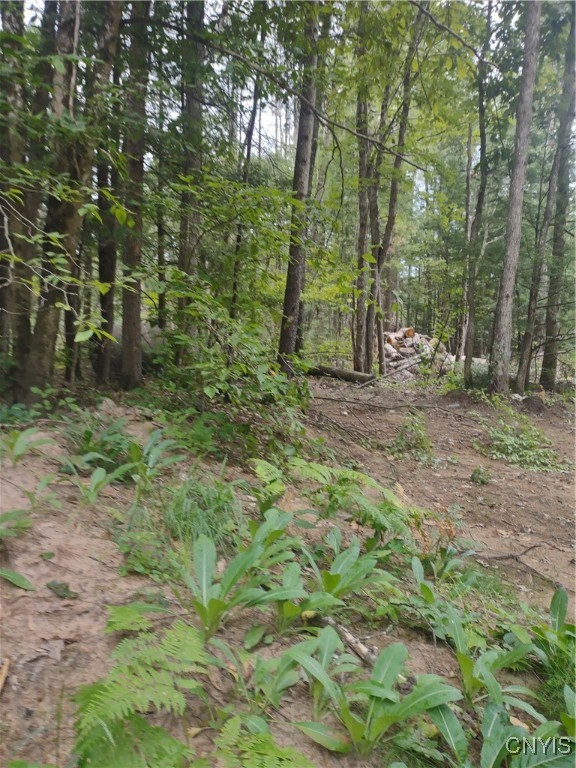 Oswego Road Rome, NY 13440 - Photo 6 of 8