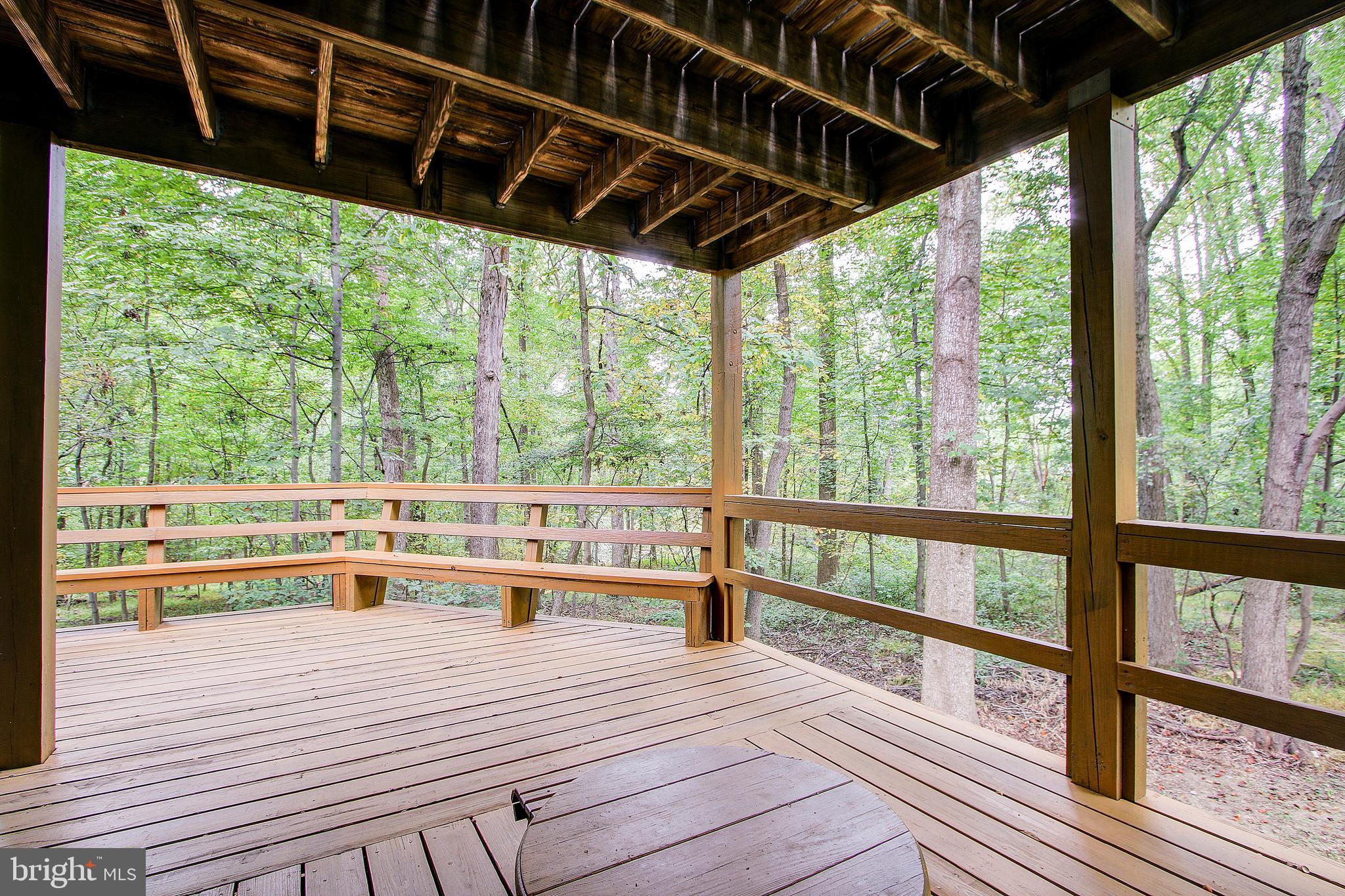 14817 Stonegate Terrace Silver Spring, MD 20905 - Photo 14 of 30 Deck off main level