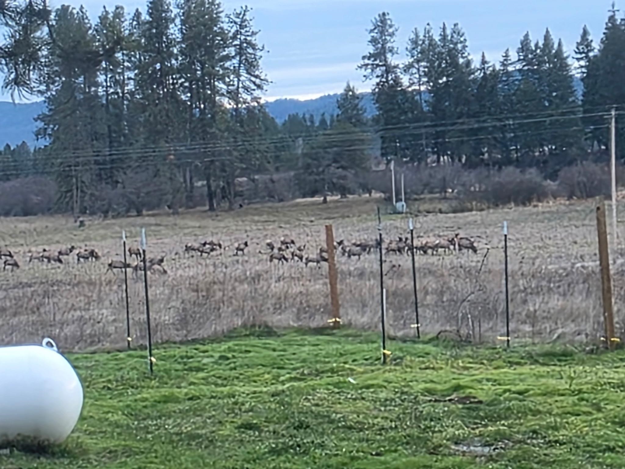 71 Frissell Road Usk, WA 99180 - Photo 11 of 29