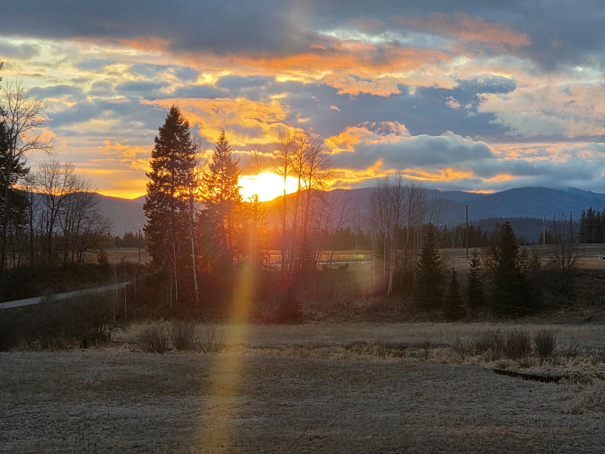 71 Frissell Road Usk, WA 99180 - Photo 12 of 29