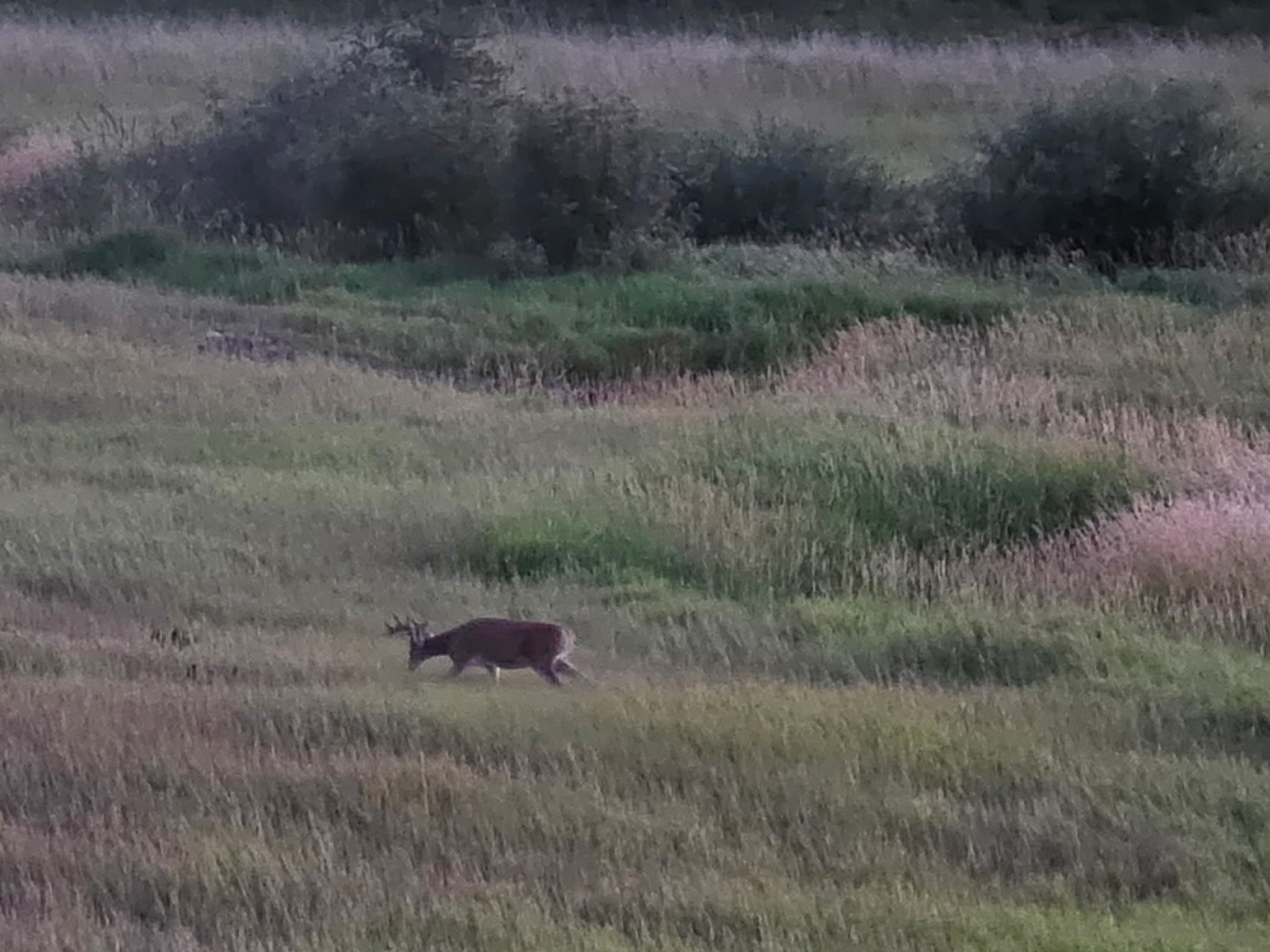 71 Frissell Road Usk, WA 99180 - Photo 15 of 29