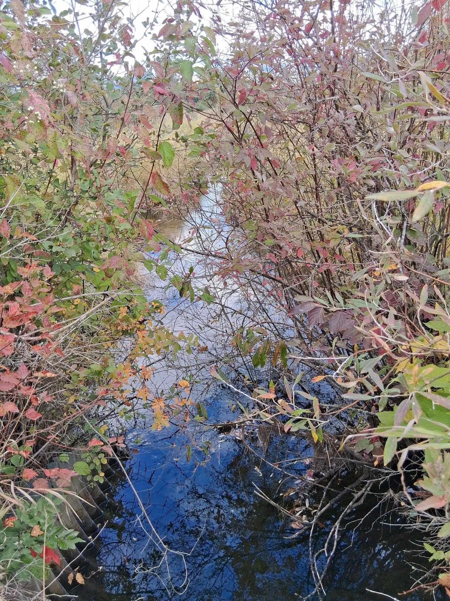 71 Frissell Road Usk, WA 99180 - Photo 28 of 29