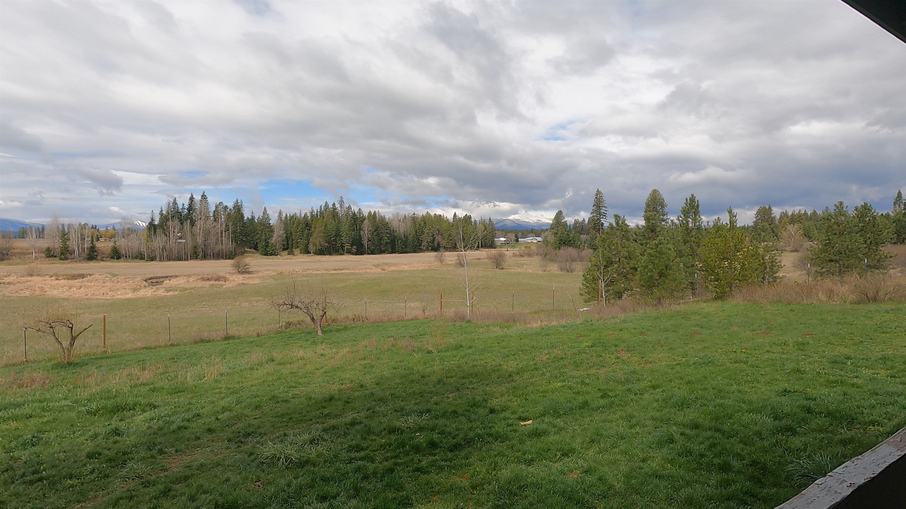 71 Frissell Road Usk, WA 99180 - Photo 3 of 29