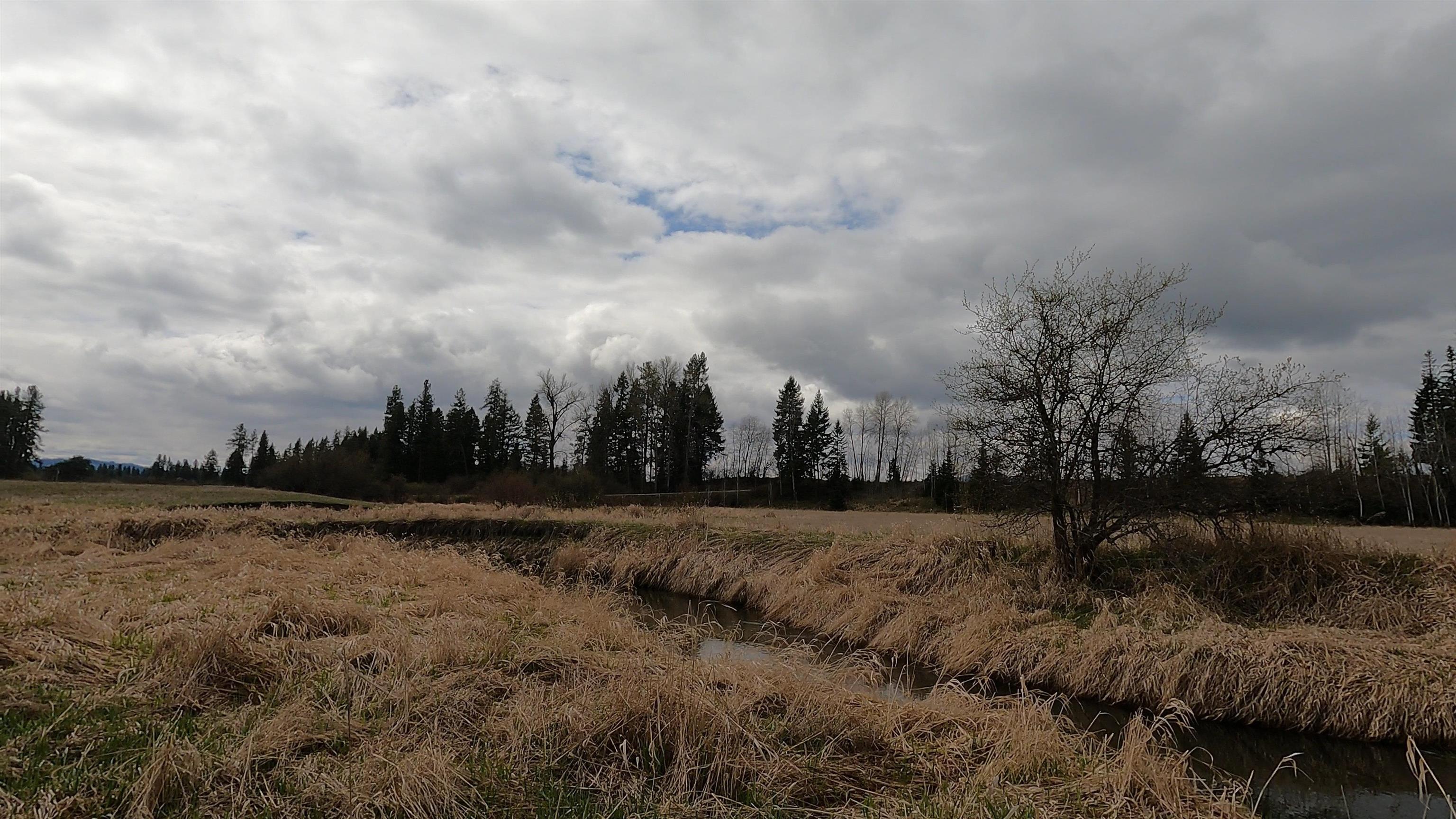 71 Frissell Road Usk, WA 99180 - Photo 6 of 29