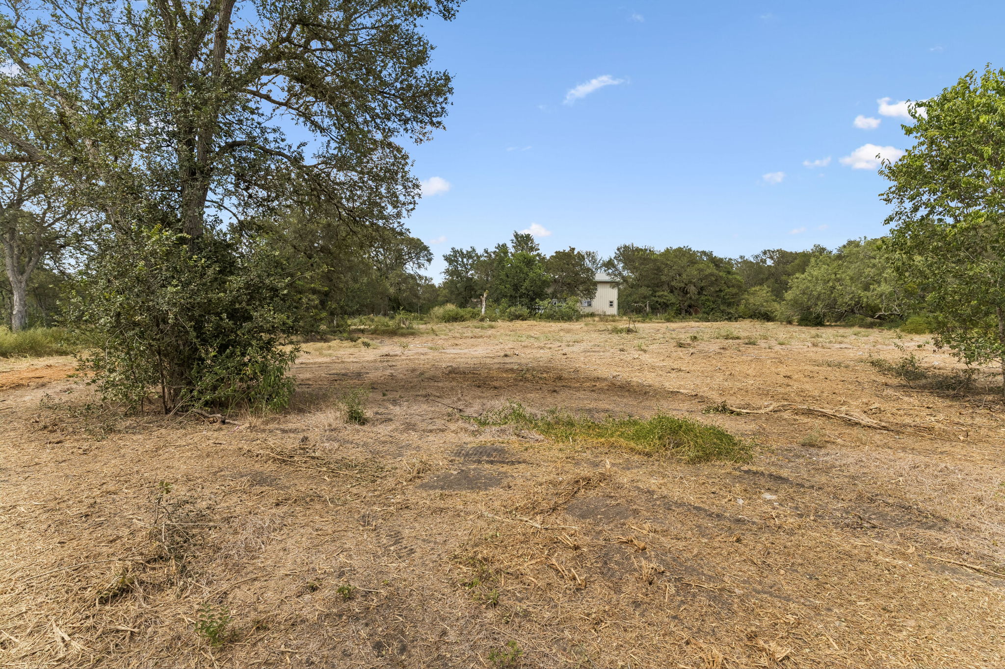 16001 Decker Lake Road Manor, TX 78653 - Photo 9 of 24 Gallery Image 9