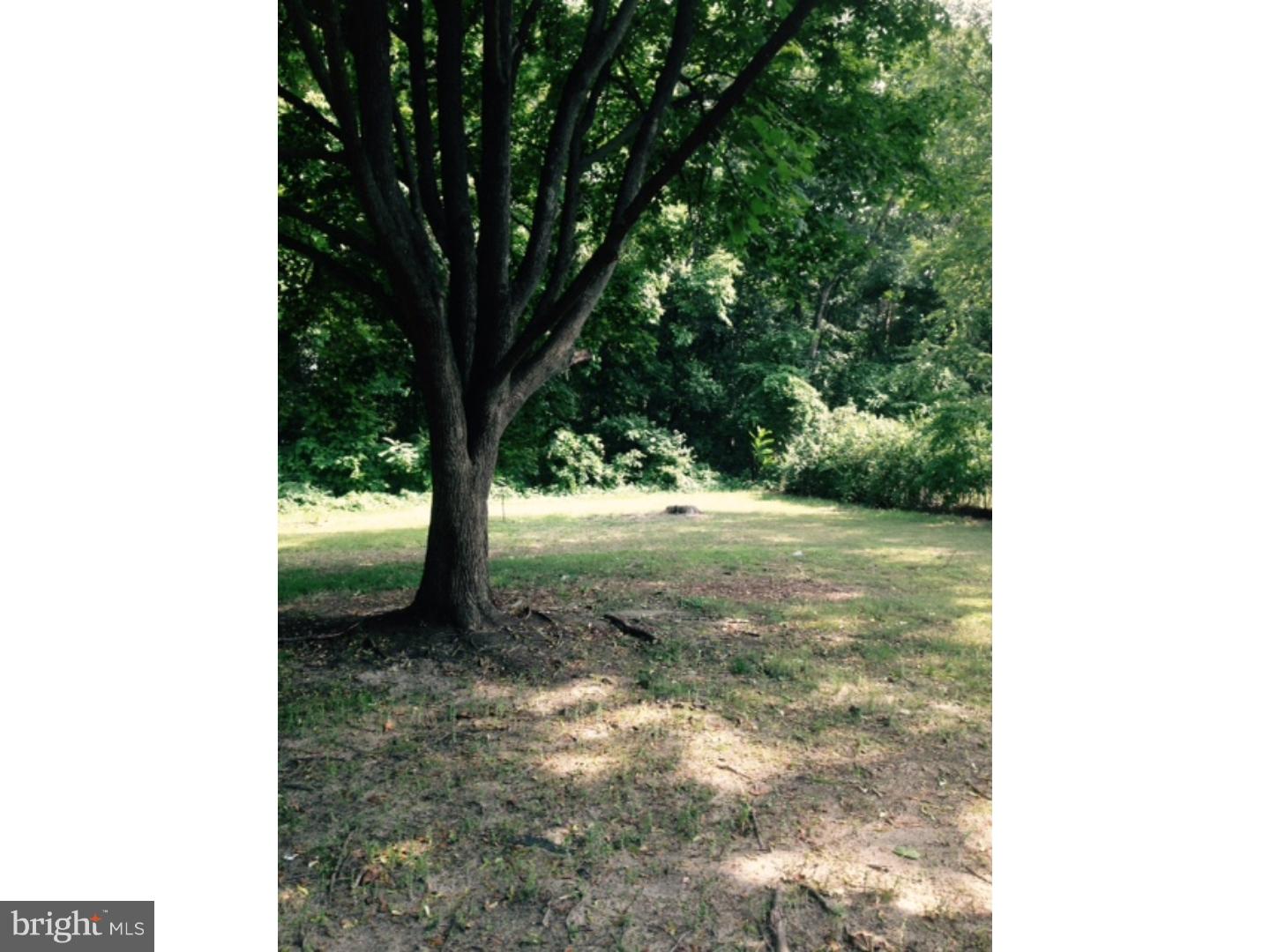 132 Lincoln Road Wenonah, NJ 08090 - Photo 22 of 22 Back Yard