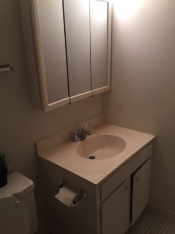 300 Roselle Road, Unit 419 Schaumburg, IL 60193 - Photo 9 of 11