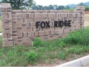 154 Fox Ridge Drive Mount Carmel, TN 37645 - Photo 2 of 9 Photo 2