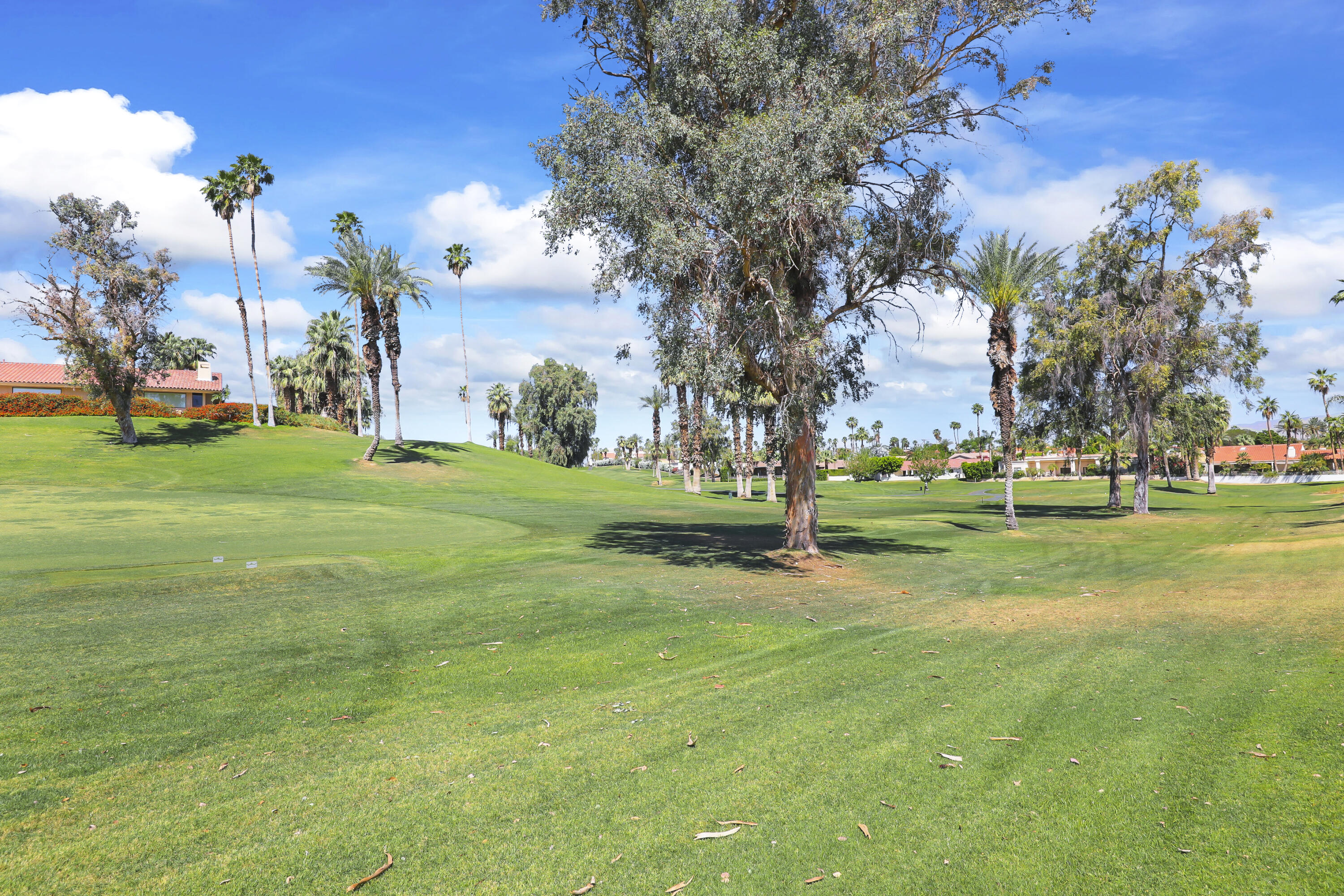 43241 Port Maria Road Bermuda Dunes, CA 92203 - Photo 31 of 34 PortMariaRd43241#36