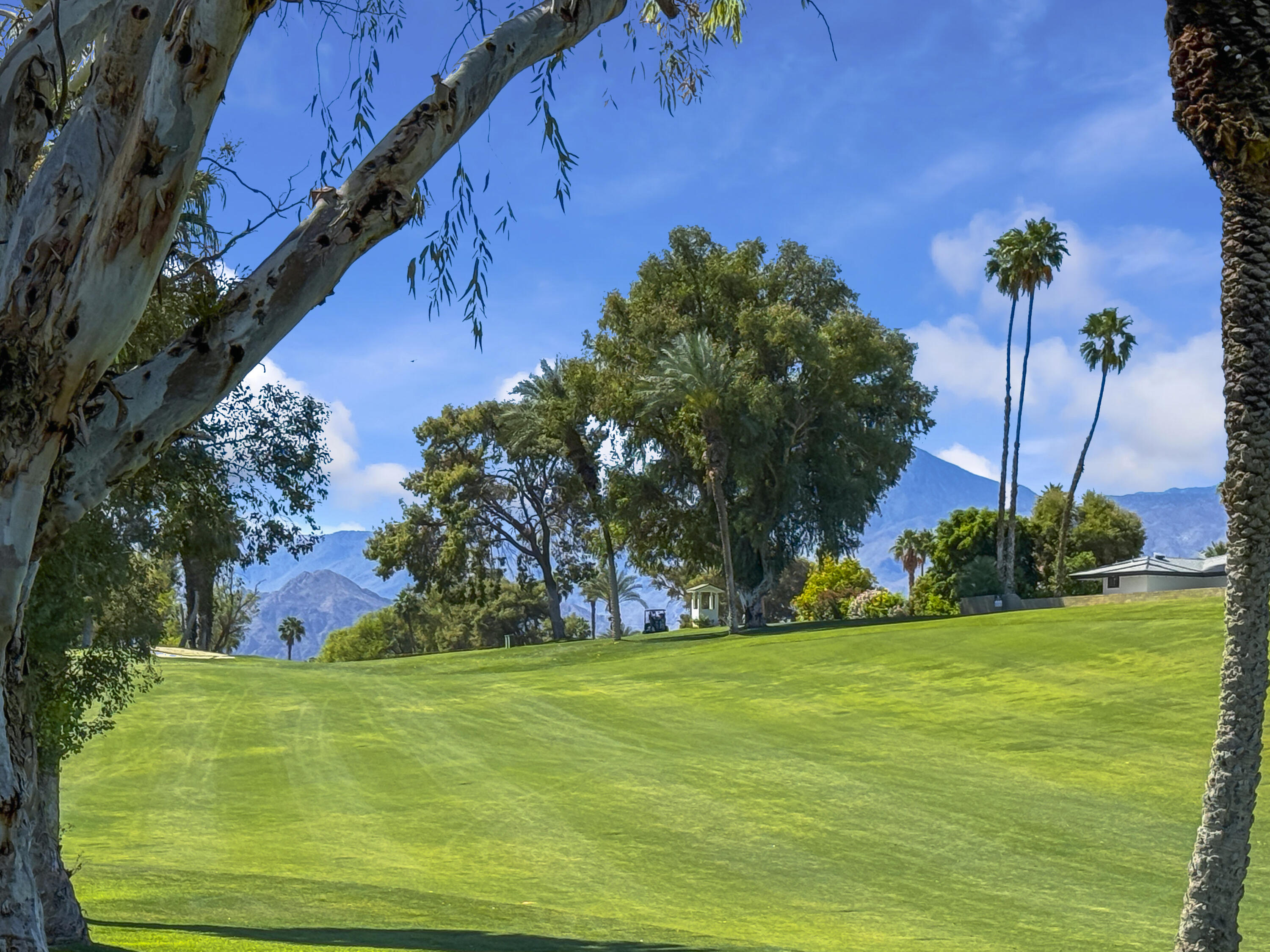 43241 Port Maria Road Bermuda Dunes, CA 92203 - Photo 33 of 34 PortMariaRd43241#40