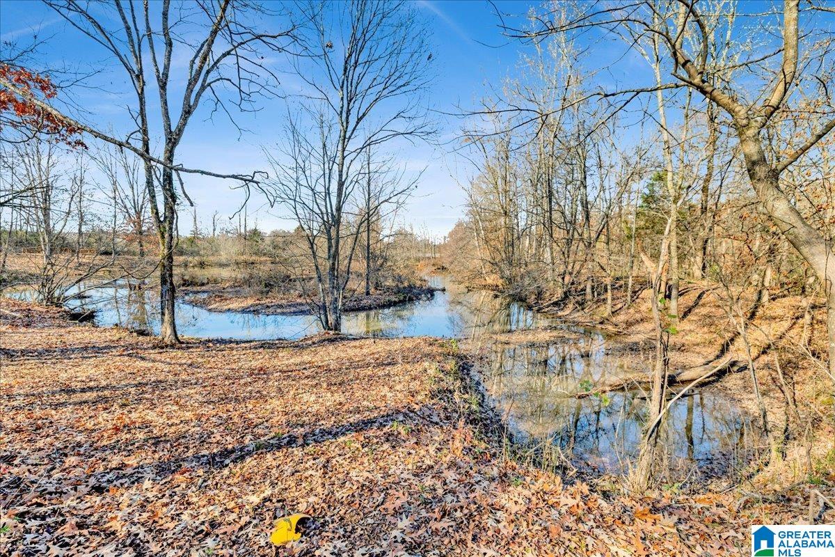 6606 Folsom Road McCalla, AL 35111 - Photo 48 of 53