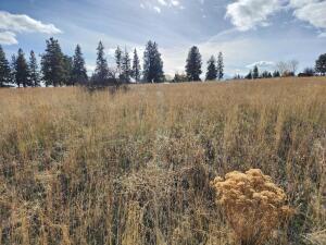 Kerry Drive Chiloquin, OR 97624 - Photo 1 of 3