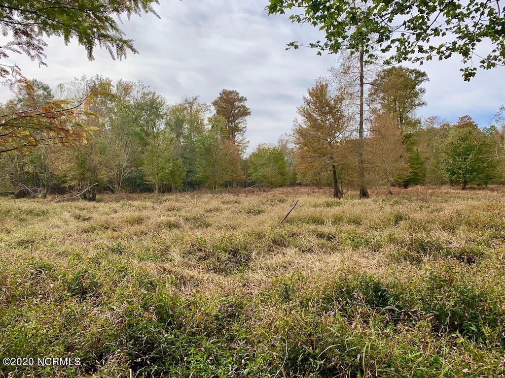 0 Biddle Road Dover, NC 28526 - Photo 31 of 35 31