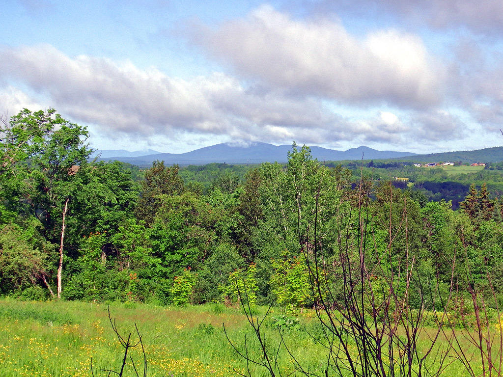 299 Thompson Settlement Road Oakfield, ME 04763 - Photo 6 of 20 farm-view-oakfield