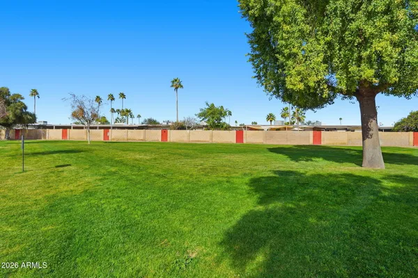 a view of a backyard