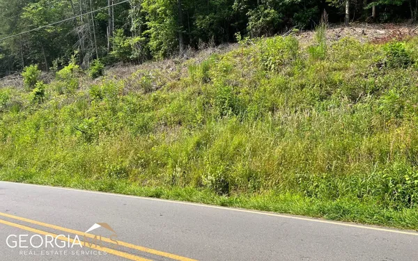 $47,500 | Lot 3 Fires Creek Road, Hayesville, NC 28904