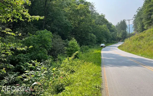 $47,500 | Lot 3 Fires Creek Road, Hayesville, NC 28904