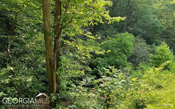 $47,500 | Lot 3 Fires Creek Road, Hayesville, NC 28904