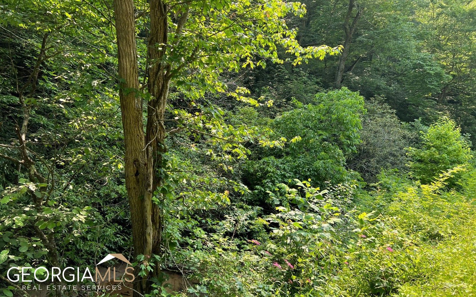 Lot 3 Fires Creek Road Hayesville, NC 28904 - Photo 12 of 29