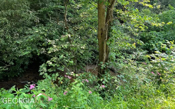 $47,500 | Lot 3 Fires Creek Road, Hayesville, NC 28904
