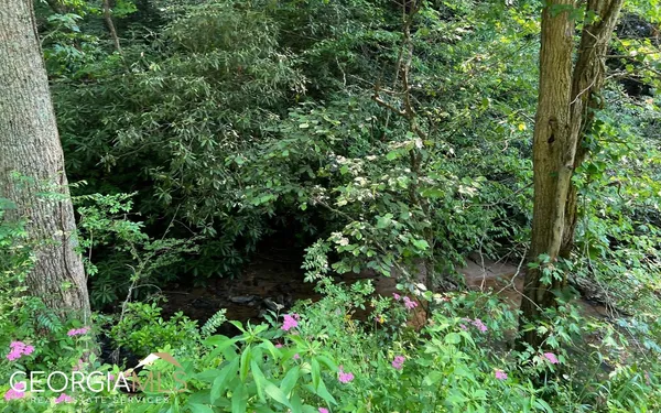 $47,500 | Lot 3 Fires Creek Road, Hayesville, NC 28904