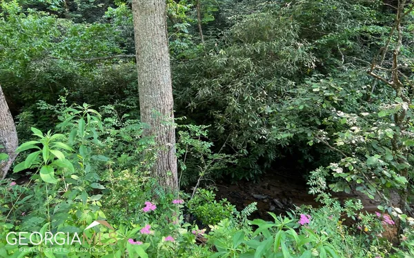 $47,500 | Lot 3 Fires Creek Road, Hayesville, NC 28904