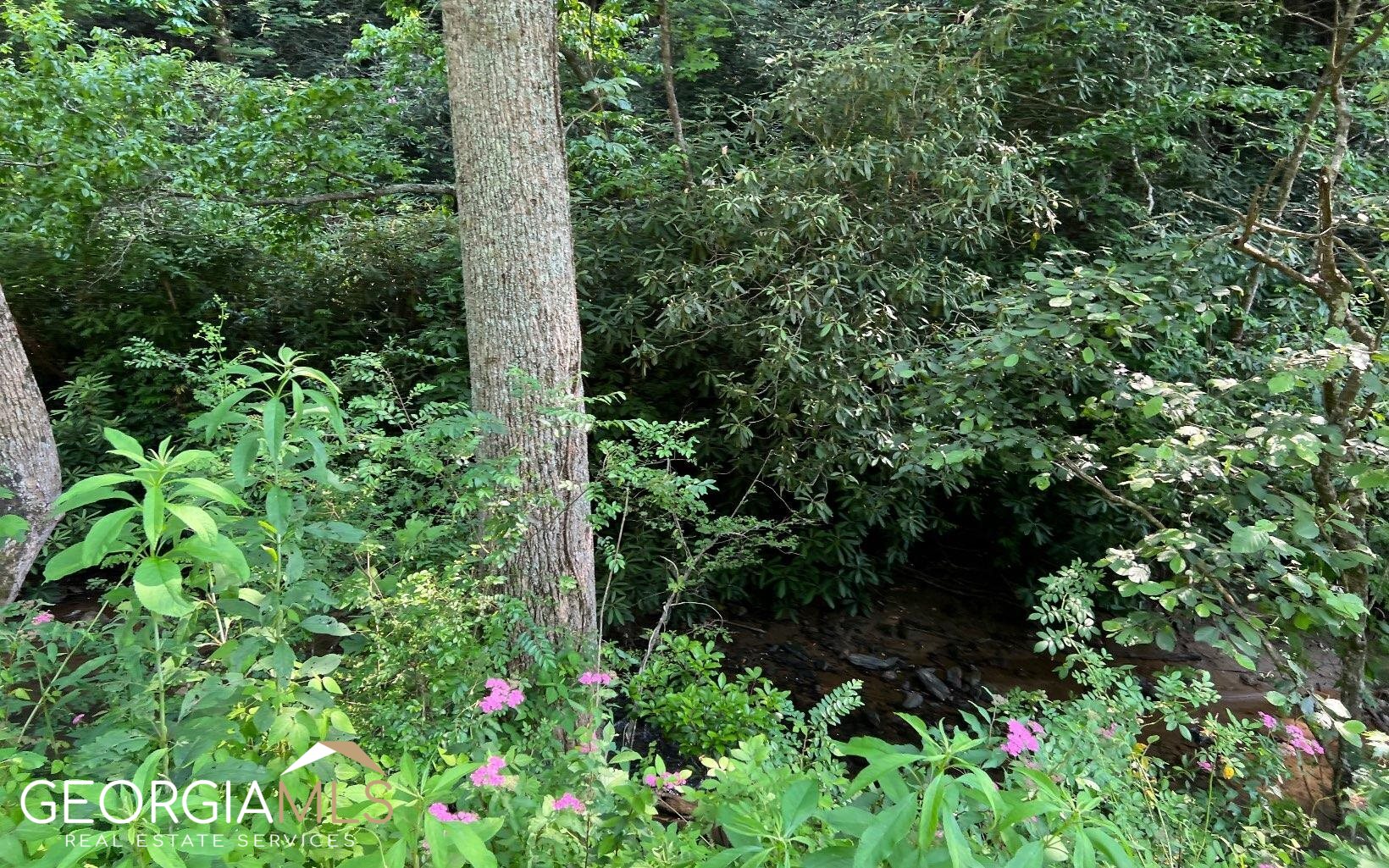 Lot 3 Fires Creek Road Hayesville, NC 28904 - Photo 15 of 29