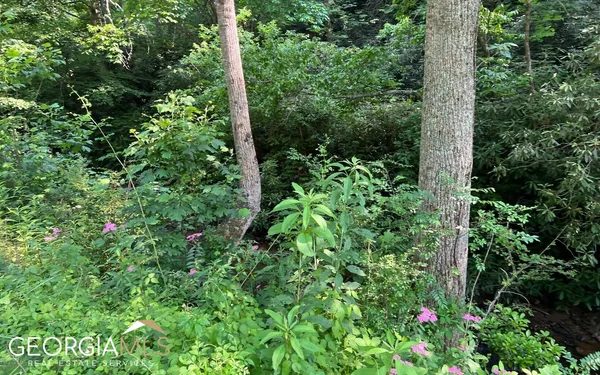 $47,500 | Lot 3 Fires Creek Road, Hayesville, NC 28904