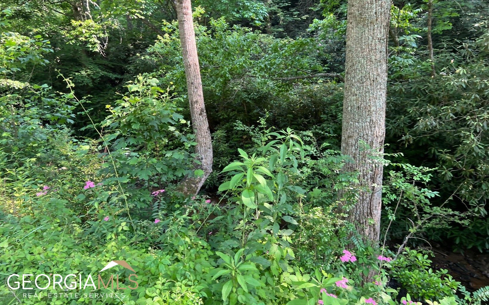 Lot 3 Fires Creek Road Hayesville, NC 28904 - Photo 16 of 29