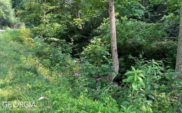 $47,500 | Lot 3 Fires Creek Road, Hayesville, NC 28904