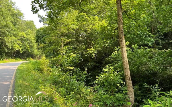 $47,500 | Lot 3 Fires Creek Road, Hayesville, NC 28904