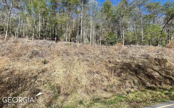 $47,500 | Lot 3 Fires Creek Road, Hayesville, NC 28904