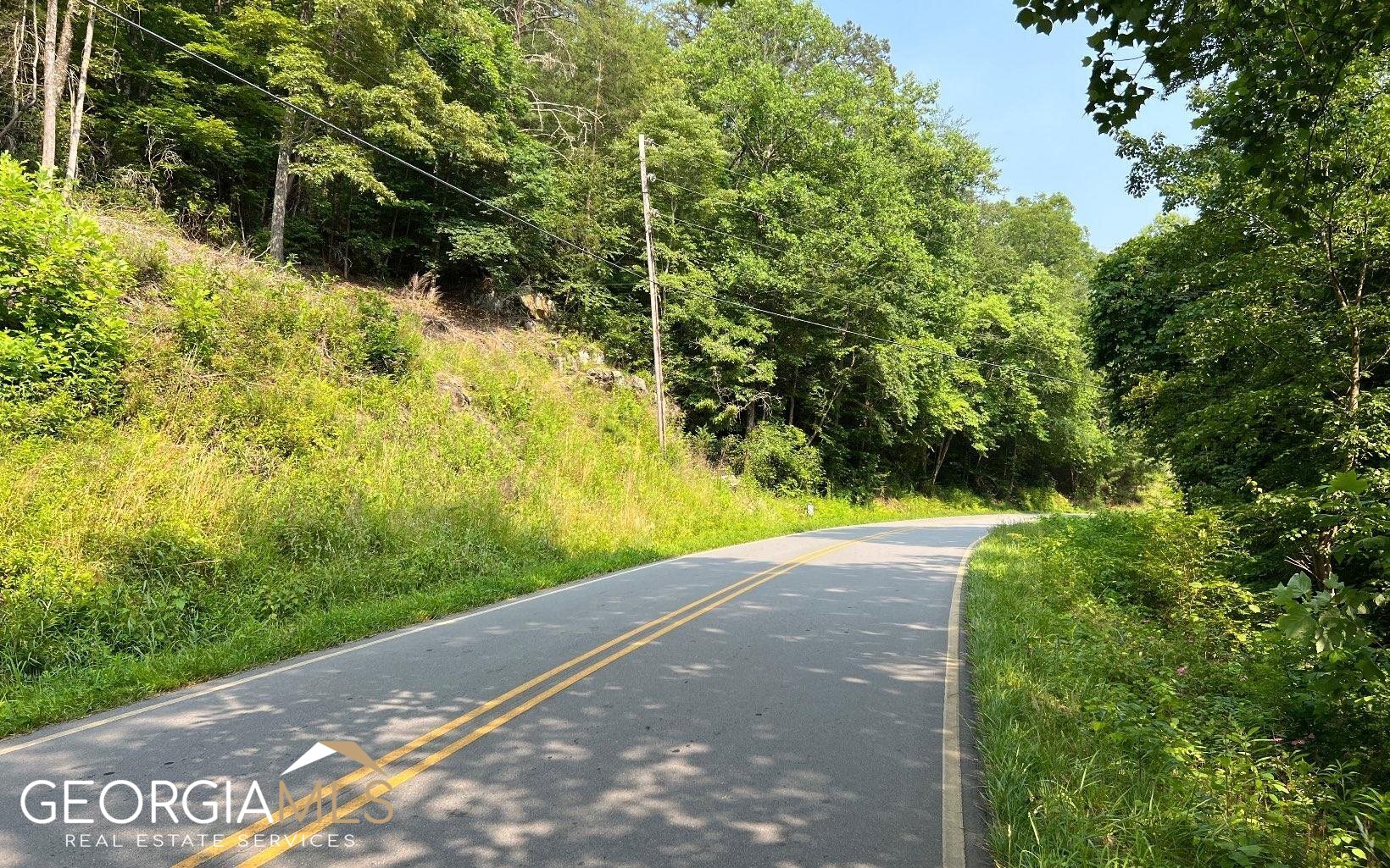 Lot 3 Fires Creek Road Hayesville, NC 28904 - Photo 2 of 29