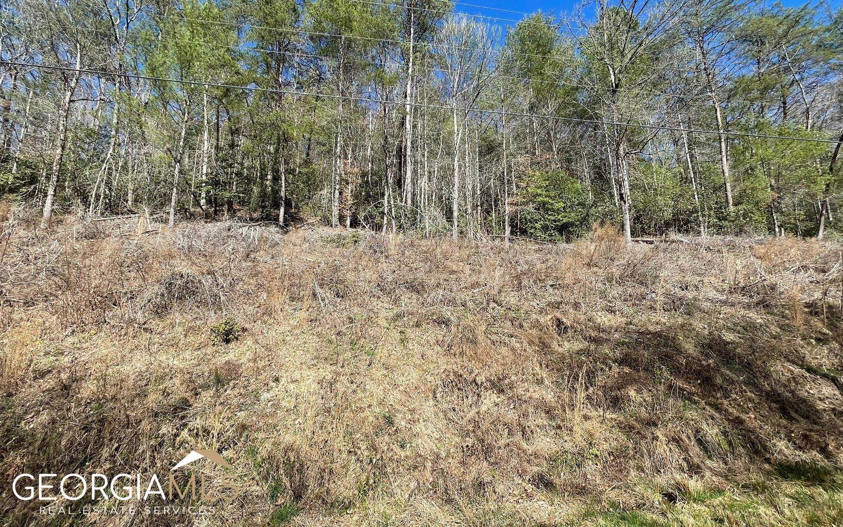 Lot 3 Fires Creek Road Hayesville, NC 28904 - Photo 21 of 29