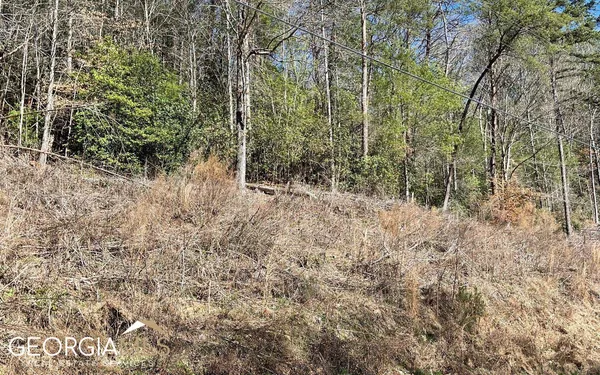$47,500 | Lot 3 Fires Creek Road, Hayesville, NC 28904