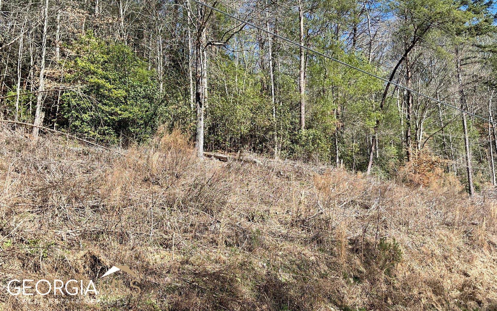 Lot 3 Fires Creek Road Hayesville, NC 28904 - Photo 22 of 29