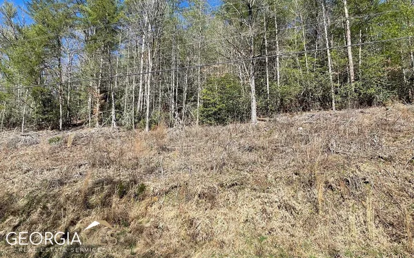 $47,500 | Lot 3 Fires Creek Road, Hayesville, NC 28904