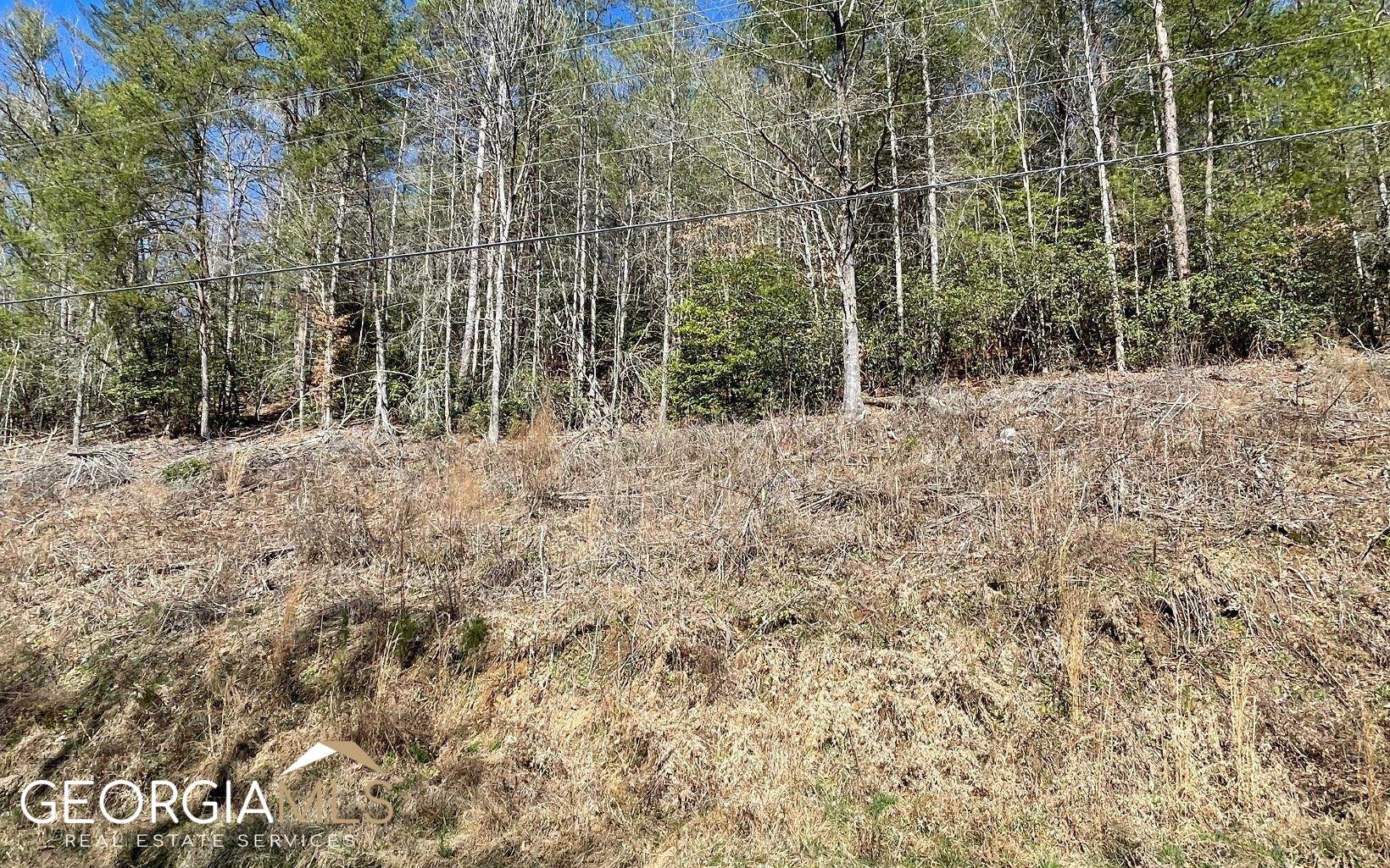 Lot 3 Fires Creek Road Hayesville, NC 28904 - Photo 23 of 29