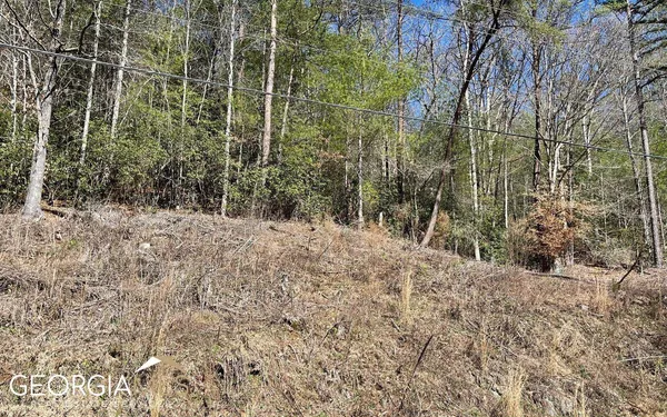 $47,500 | Lot 3 Fires Creek Road, Hayesville, NC 28904