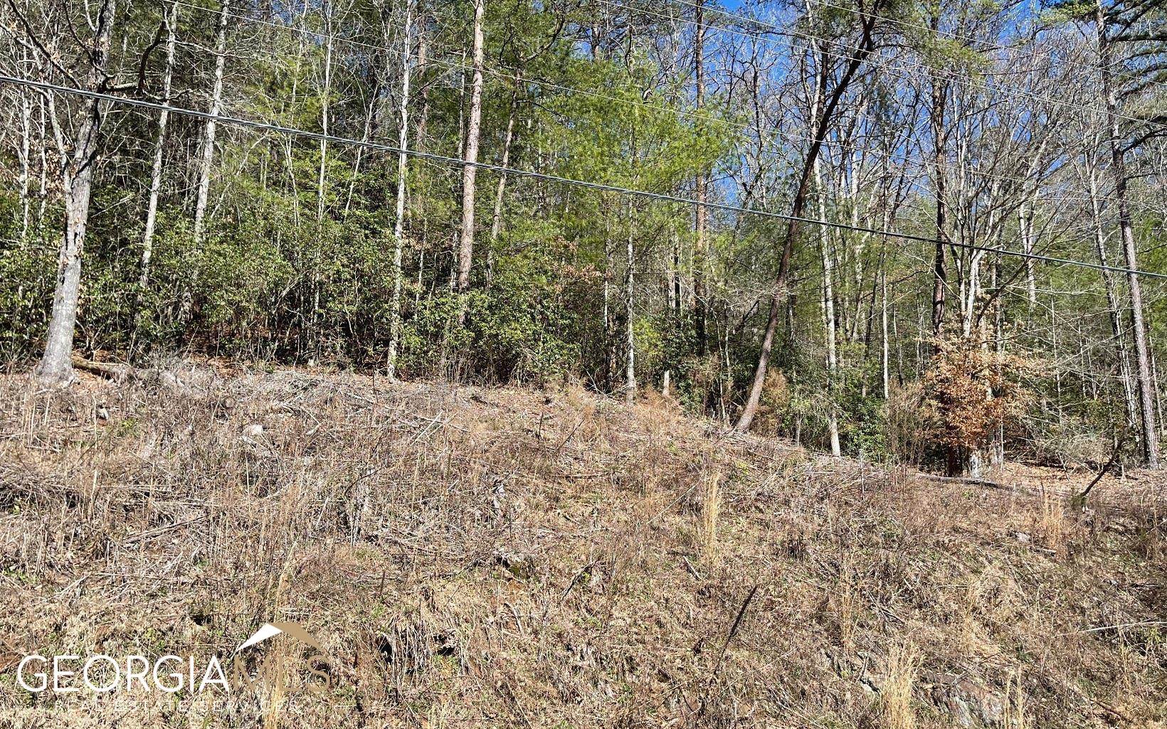 Lot 3 Fires Creek Road Hayesville, NC 28904 - Photo 24 of 29